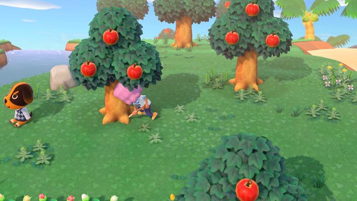 Actual product image Nintendo Animal Crossing: New Horizons (Switch, DE)