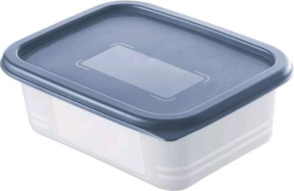 Actual product image Rotho Gefrierdosen Set (0.50 l)