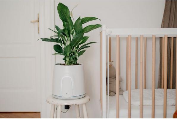 Produktbild Vitesy Natede Smart (20 m²)