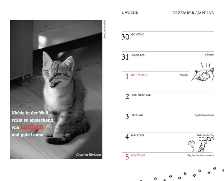 Produktbild Katzen Taschenkalender 2025 (9.5 x 15 cm, Harter Einband, Deutsch)