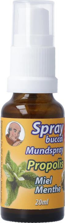 Produktbild Bioligo Spray buccal Père Michel Propolis (20 ml, Mundspray)