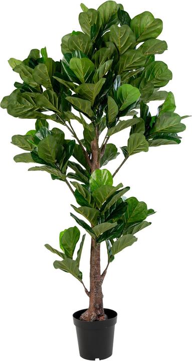 Actual product image House Nordic Fiddle (190 cm)