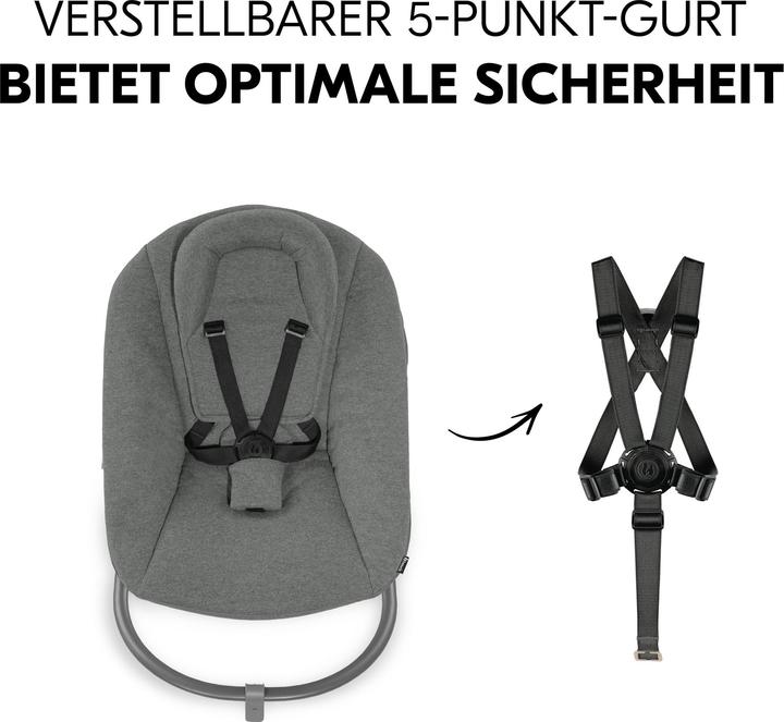 Actual product image Hauck Alpha Bouncer