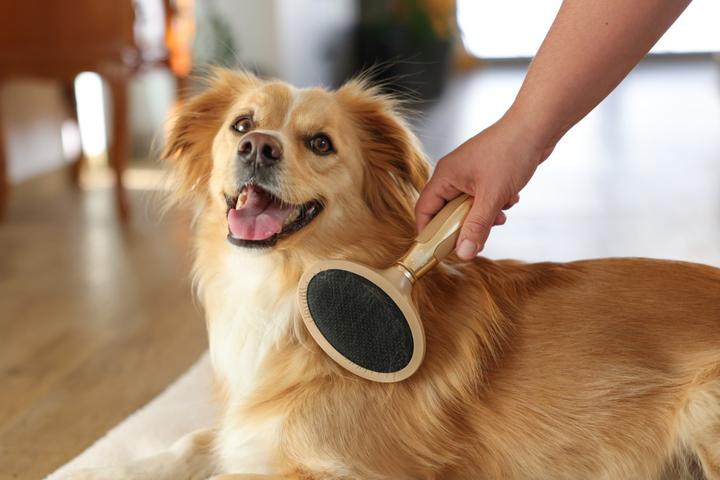 Produktbild Magic Brush Softzupfbürste für den Hund (Hund)