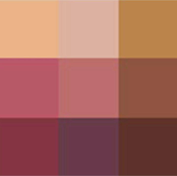 Actual product image Dior Eye Palette (004 Rosewood Neutrals)