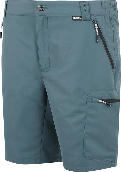Actual product image Regatta Mens Leesville III Shorts (48 D)