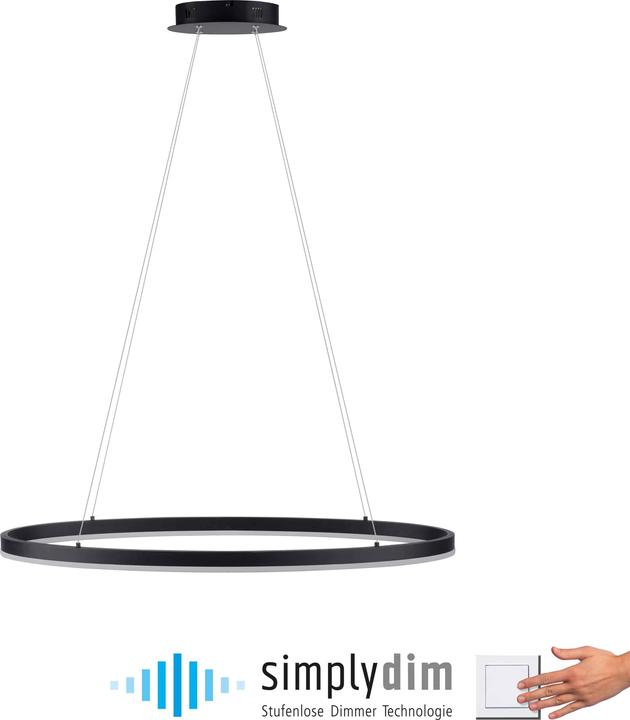 Produktbild Paul Neuhaus Titus (5150 lm)