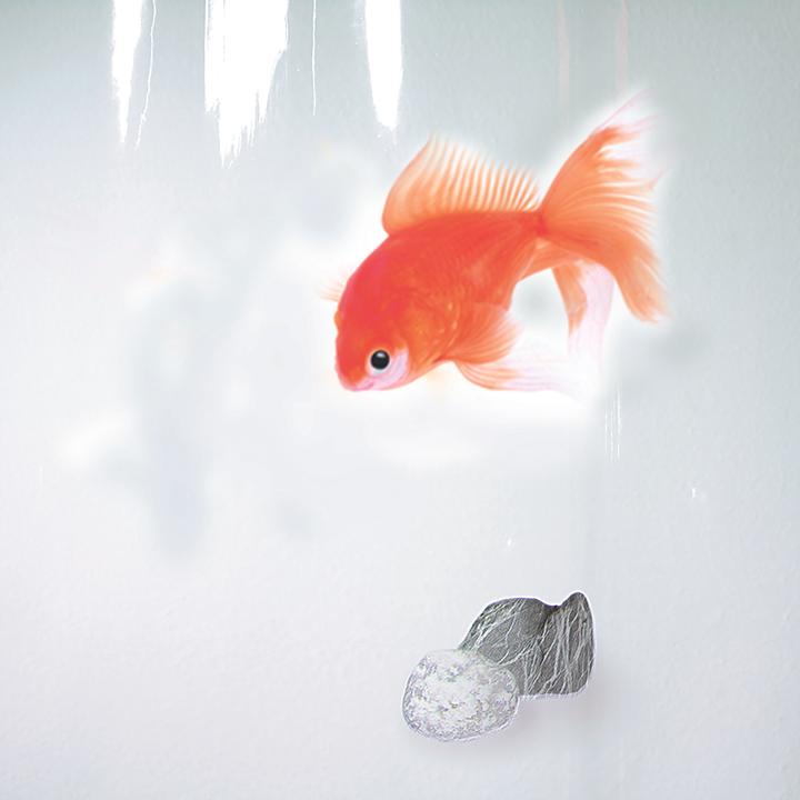 Actual product image spirella Goldfish (180 x 200 cm)