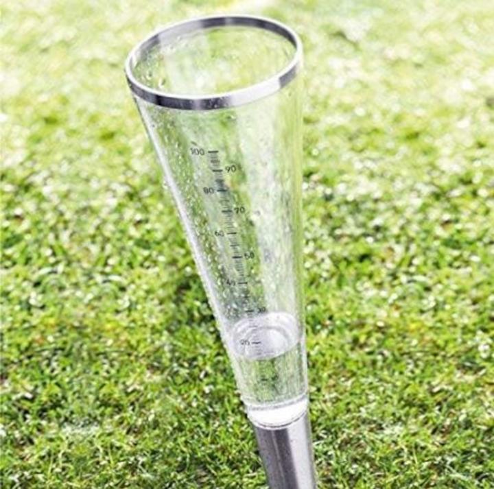Produktbild Blomus Regenmesser