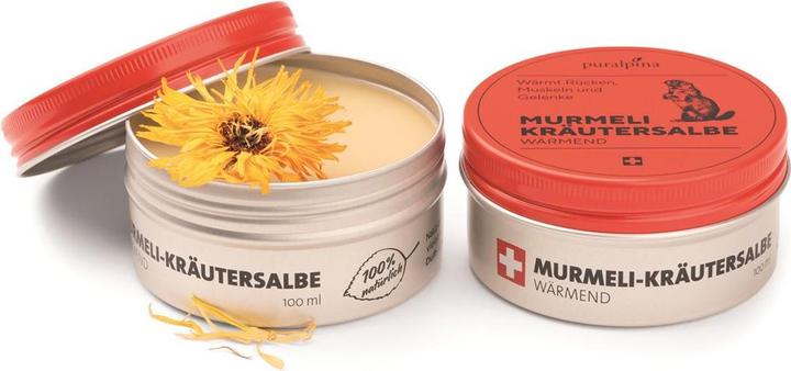 Actual product image Puralpina Murmeli herbal ointment (1 x, 50 ml, 60 g)