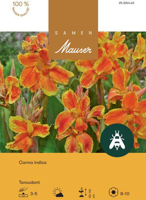 Samen Mauser Canna Taroudant (Blumensamen)