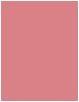 Actual product image Bourjois Rouge Velvet Ink (24 Cup Of Rose)