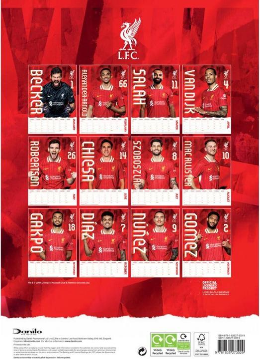 Actual product image Score Draw 2025 A3 Wall Calendar (A3, German)