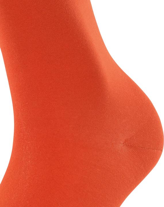 Actual product image Falke Cotton Touch SO (Single pack, 39 - 42)