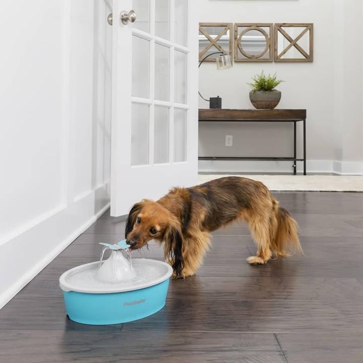 Immagine prodotto PetSafe Fontana per animali domestici Drinkwell® Butterfly (1.50 l)