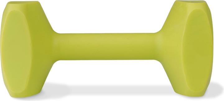 Actual product image Company of Animals Coachi Training Dumbbell (Retrieval)