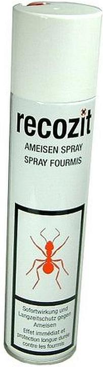 Actual product image Recozit Ameisen Spray (400 ml)