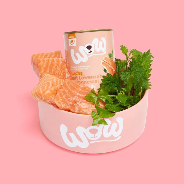 Produktbild WOW Adult, Lachs mit Tomate (Adult, 1 Stk., 400 g)