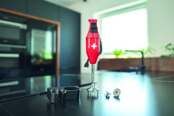 Actual product image ESGE Pürierstab (EU plug)