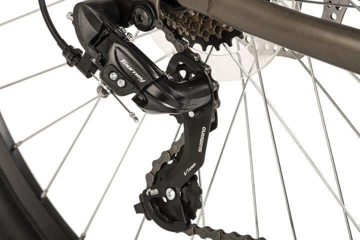 Actual product image Wyld Mountainbike Hardtail 29" Sharp Scheibenbremse platin-grau 21 Gänge (51 cm)