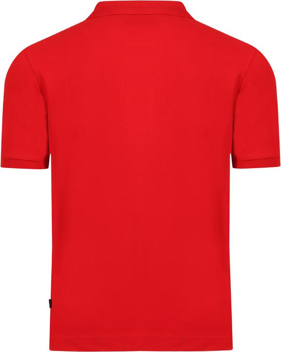 Actual product image Switcher Whale (XL)