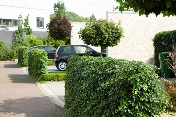 Produktbild Mobilane Hecke (100 cm)
