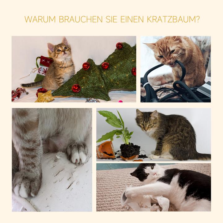 Produktbild PawHut Kratzbaum höhenverstellbar (260 cm, Grau)