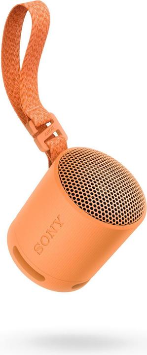 Image du produit Sony SRS-XB100 (16 h, Fonctionnement sur batterie)