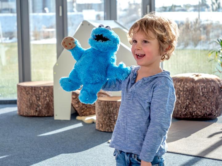 Actual product image Living Puppets Cookie Monster