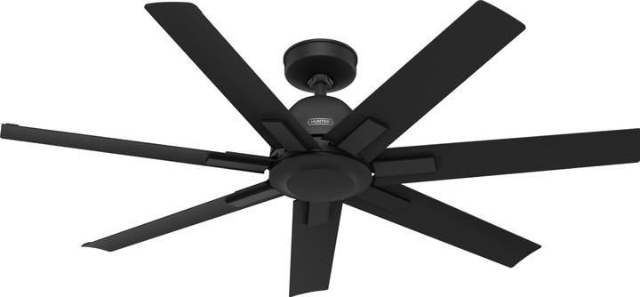 Actual product image Hunter Fans DC Deckenventilator Sahira Schwarz mit Fernbedienung (42 dB)