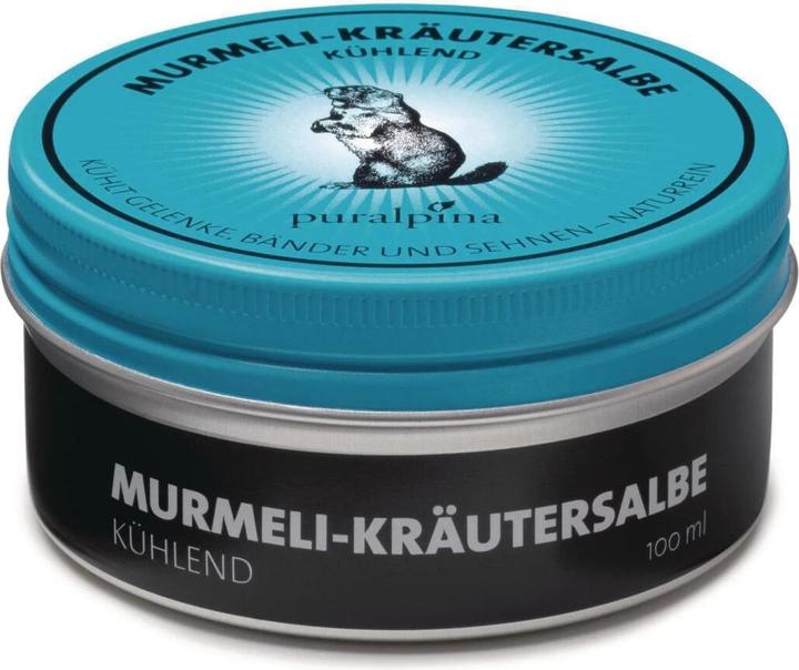 Puralpina Murmeli-Kräutersalbe (1 x, 100 ml, 110 g)