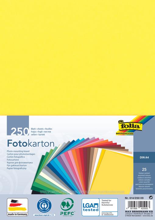 Actual product image Folia Photo cardboard, DIN A4, 300 g/sqm, assorted (300 g/m², 250 x)