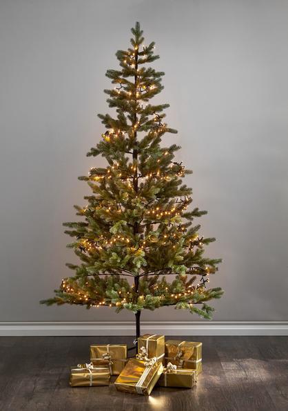 Actual product image Star Trading LED golden warmwhite, light chain, 540 LEDs (10.80 m)