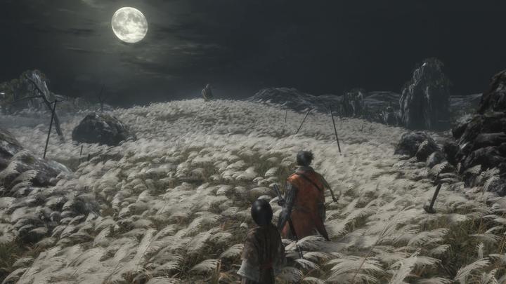 Immagine prodotto Activision Sekiro: Shadows Die Twice (Xbox One X, Xbox Series X, DE)