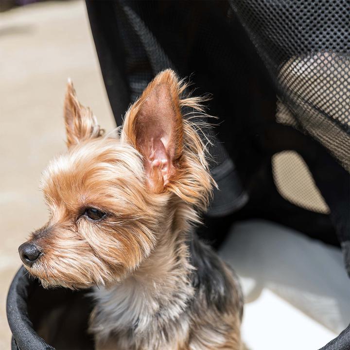Actual product image Fudajo 2in1 pet stroller (Dog, Foldable, Breathable)