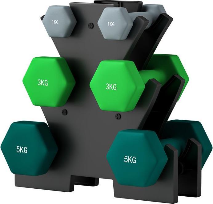 Swisshandel24 Hanteln 6 Kurzhanteln mit Hantelständer, 2 x 1kg, 2 x 3kg, 2 x 5kg für Fitness (2 x 1 kg, 2 x 5 kg, 2 x 3 kg)
