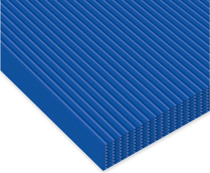 Immagine prodotto Ursus Wellkarton (260 g/m², 10 x)