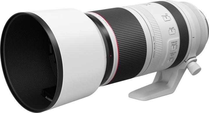 Canon RF 100-500mm f/4.5-7.1 L IS USM (Canon RF, Full-frame)
