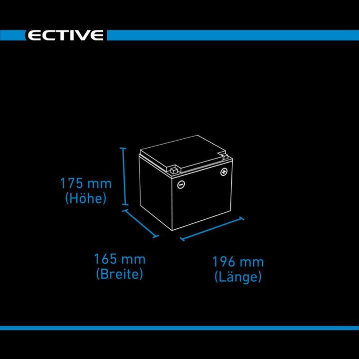 Immagine prodotto Ective 12V 50Ah LiFePo4 Batteria di alimentazione Batteria al litio BMS Camper LFP BT Batteria di (12 V, 50 Ah)