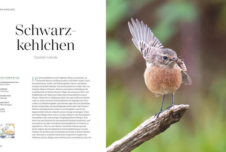 Produktbild Die magische Welt unserer Vögel (Deutsch, Matthias Futterer, Hannes Bonzheim, 2022)