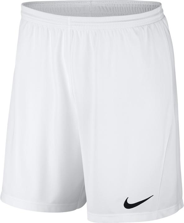 Nike Park Iii Short