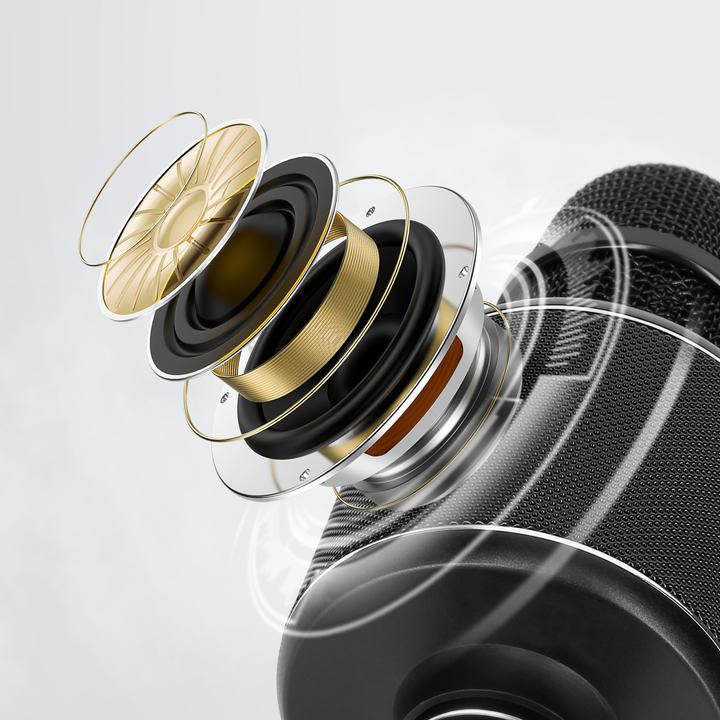 Image du produit LinQ BK6829 Microphone de karaoké
