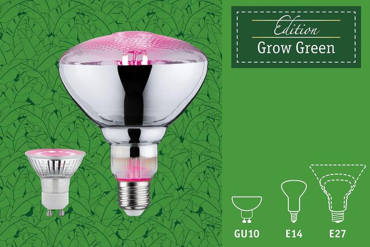 Actual product image Paulmann Plant (E14, 4 W, 100 lm, 1 x, B)