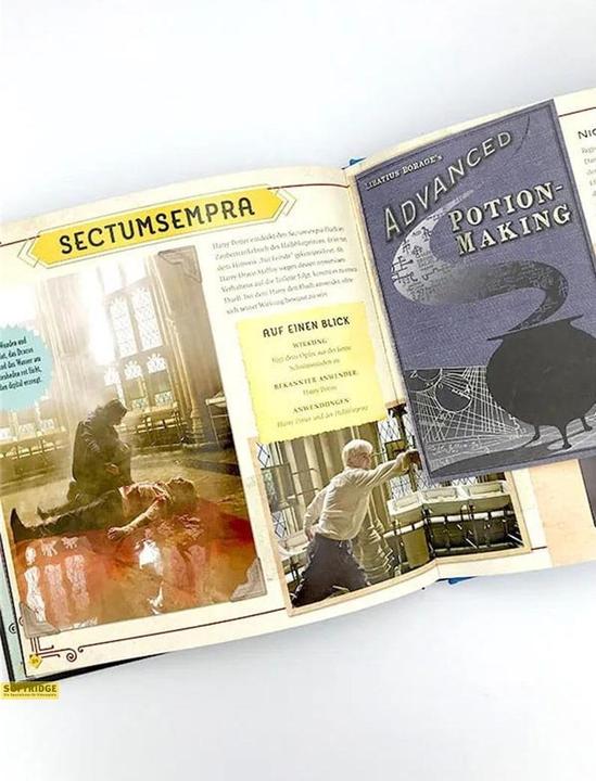 Produktbild Panini Harry Potter: Die Zaubersprüche - Das Handbuch zu den Filmen (Deutsch, Jody Revenson, Barbara Knesl, Eva-Regine Rauch, 2019)