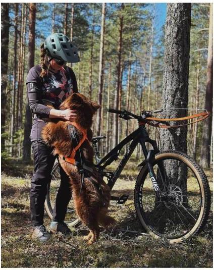 Image du produit Non-Stop Dogwear Harnais Freemotion 5.0 (M, Chien, Sport canin)