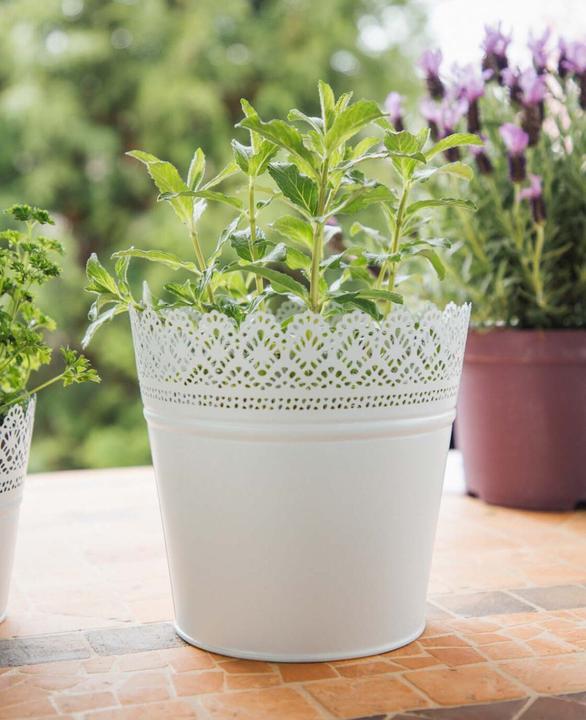 Image du produit Esmée Pot de fleurs, cache-pot avec pointes, tôle (20 cm)
