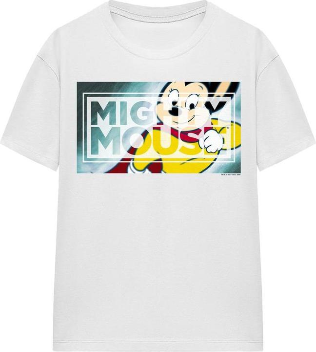 Produktbild Fruit of the Loom Mighty TShirt (XXL)