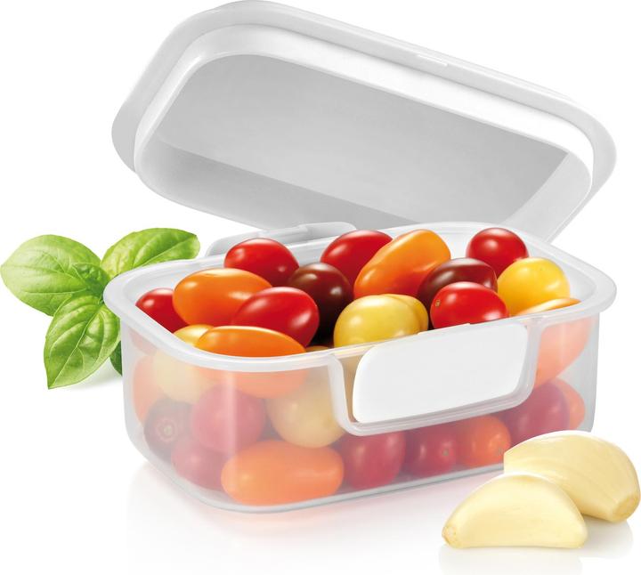 Immagine prodotto Tescoma Contenitore 14x10 cm Freshzone