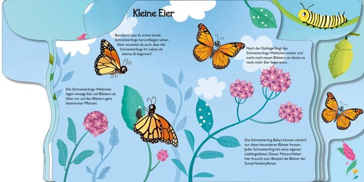 Produktbild Von der kleinen Raupe zum Schmetterling (Deutsch)