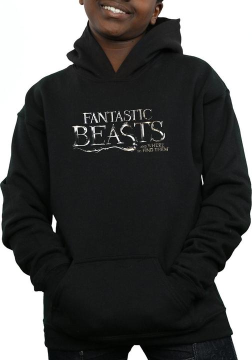 Fantastic Beasts Text Logo Kapuzenpullover Jungen